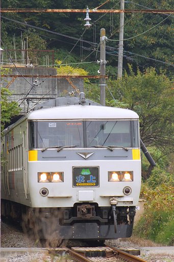もうすぐ廃止の特急水上号