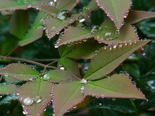 水玉の立体ショー