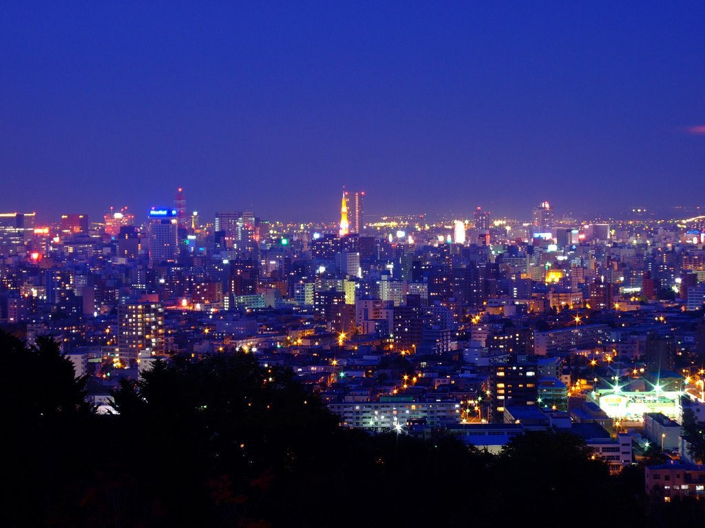 旭山記念公園より