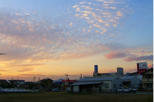 暮れました
