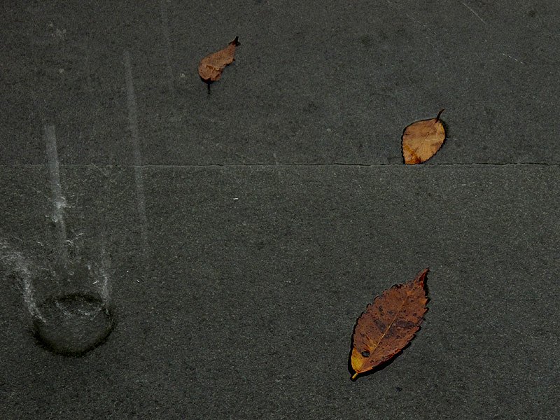 雨