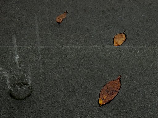雨