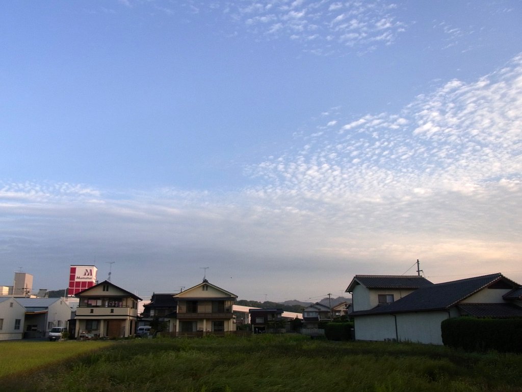 秋空なのに