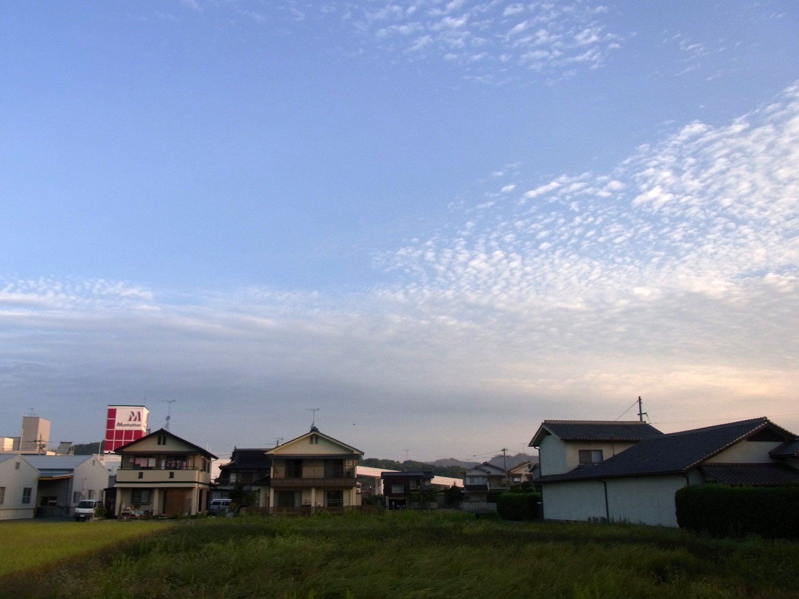 秋空なのに
