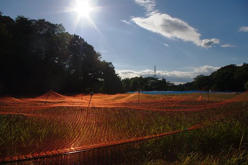 【金】 稔り