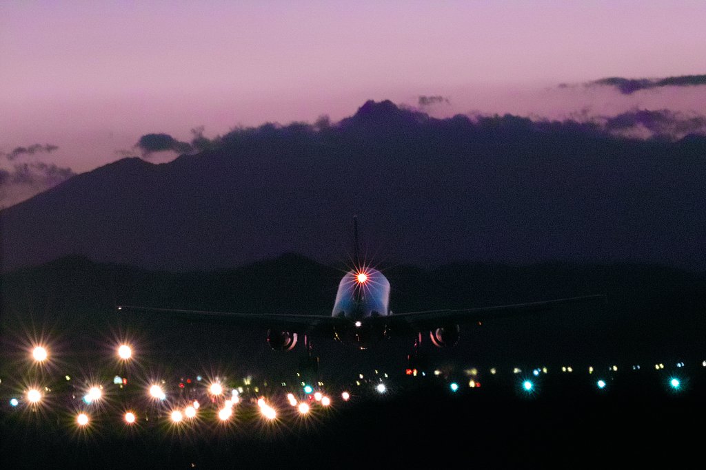 【写真しりとり】ISO1600なんとなく使えそう　→　「う」