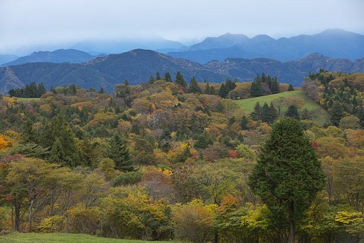 茶臼山から