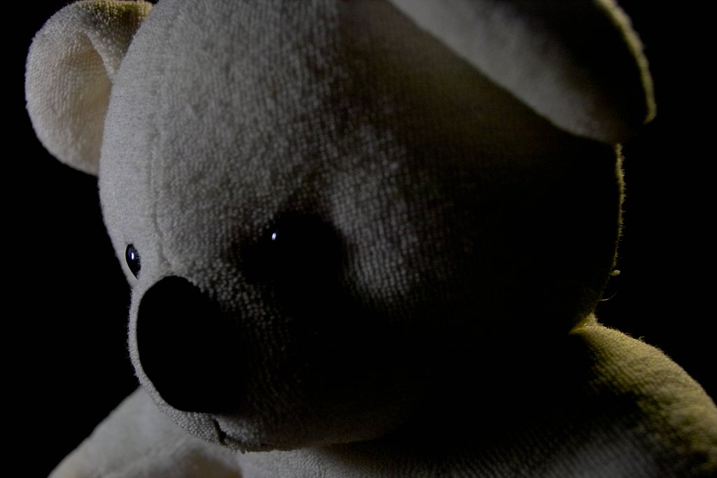 【写真しりとり】　クマではなかったことを知った少年コアラの心→「ろ」