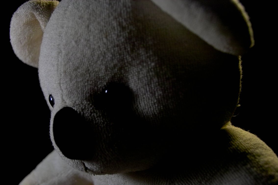 【写真しりとり】　クマではなかったことを知った少年コアラの心→「ろ」