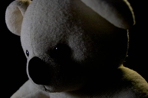 【写真しりとり】　クマではなかったことを知った少年コアラの心→「ろ」