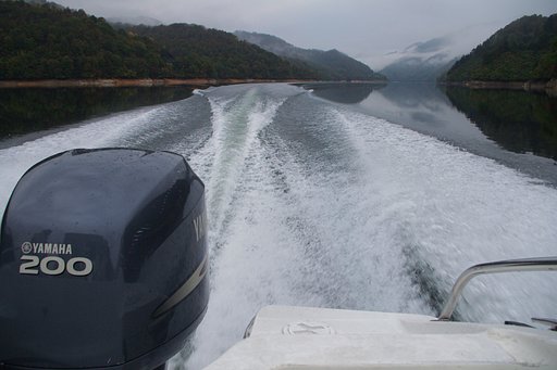 【金】 湖面を駆ける鉄の馬