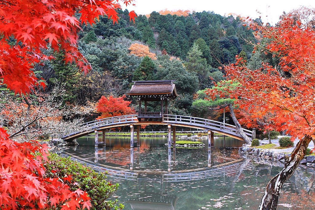 誰もいない庭園
