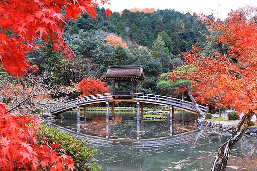 誰もいない庭園