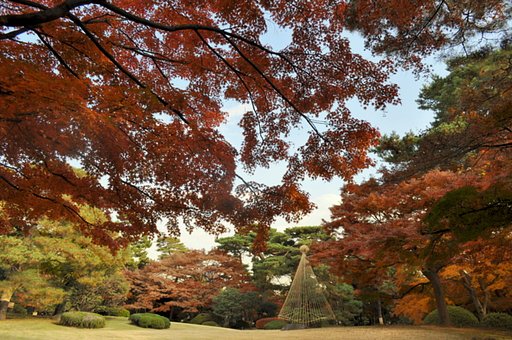 殿ヶ谷戸庭園