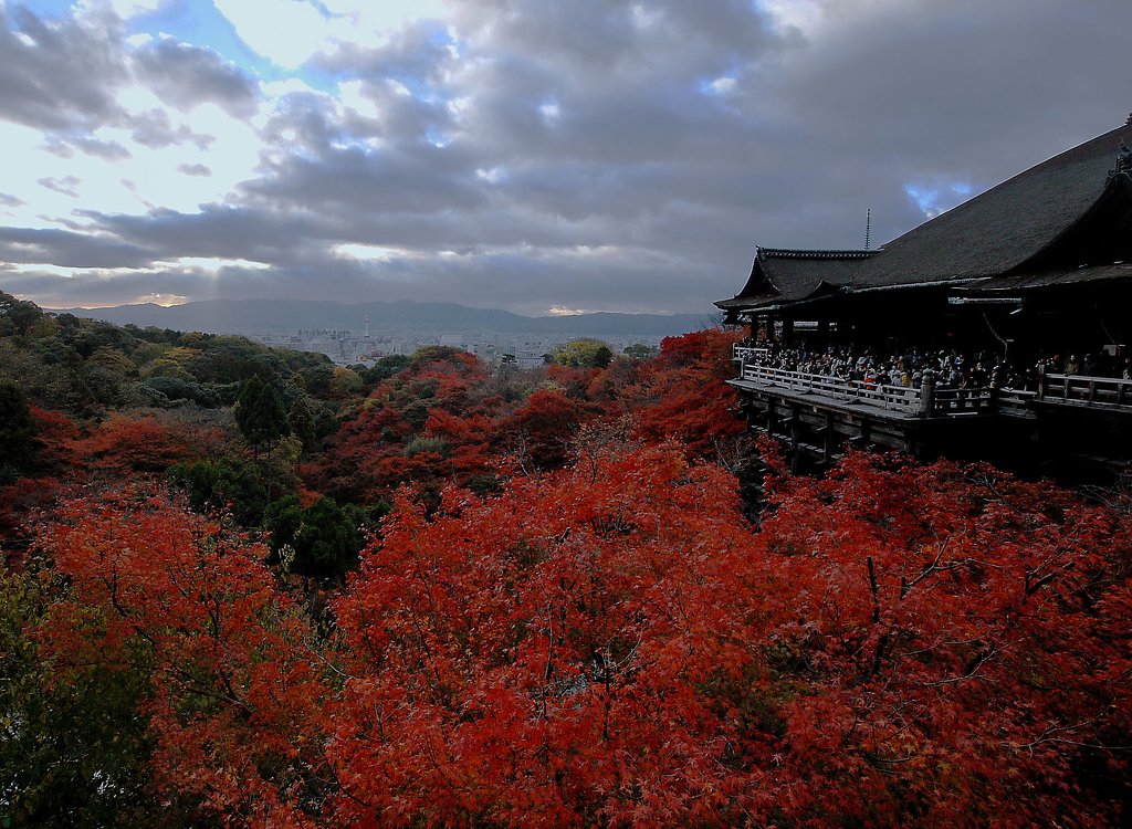 清水の舞台
