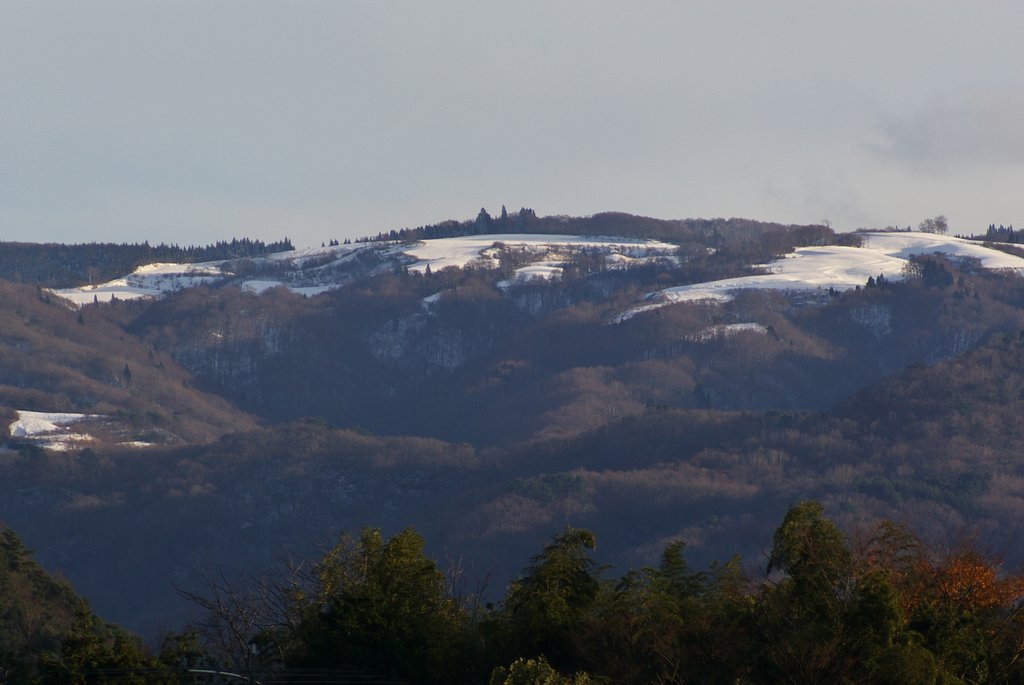 扇ノ山の積雪