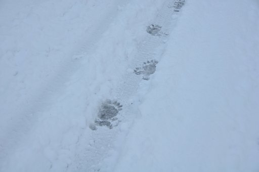 これってもしかして・・・アレですか？