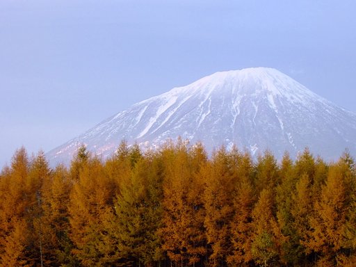 晩秋③