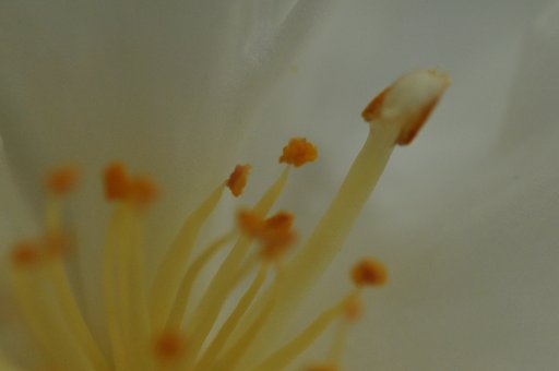 小宇宙