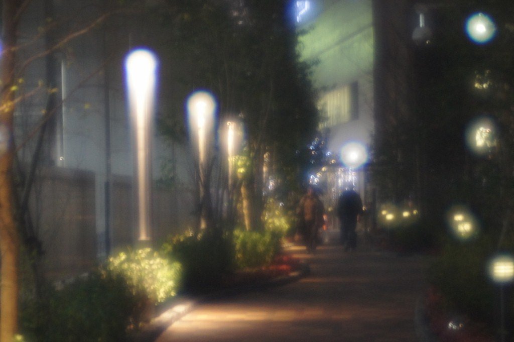 夜の散歩道