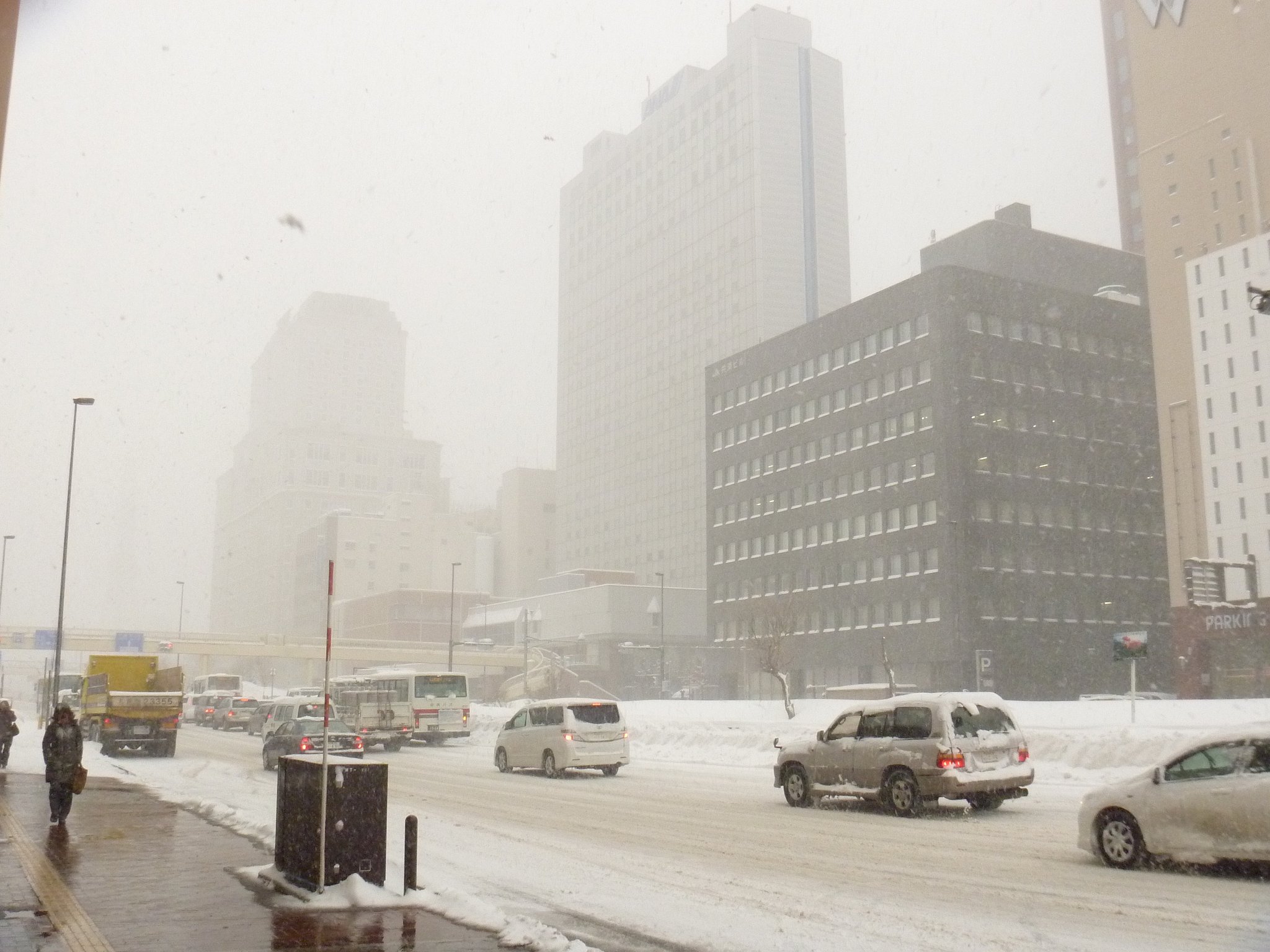 大雪のあと・・・