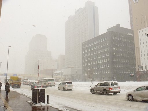 大雪のあと・・・