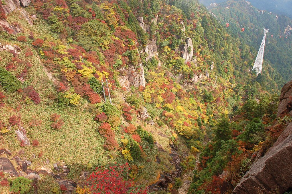 紅葉