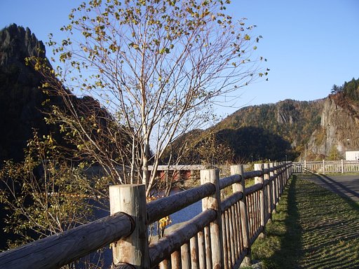 秋晴れ