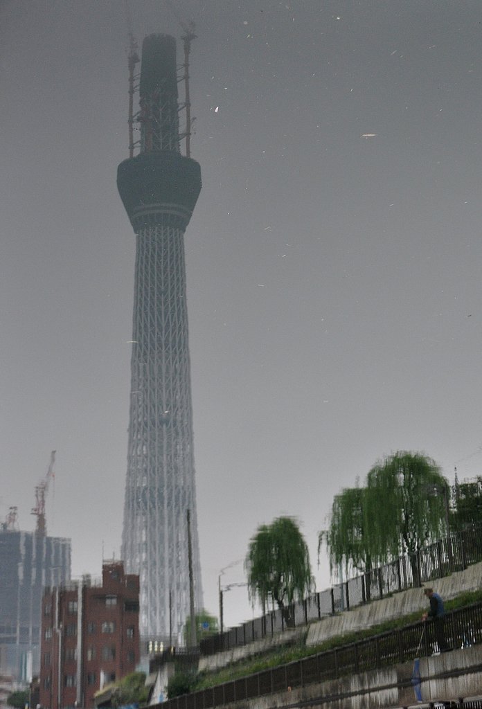 川に映るの東京スカイツリー