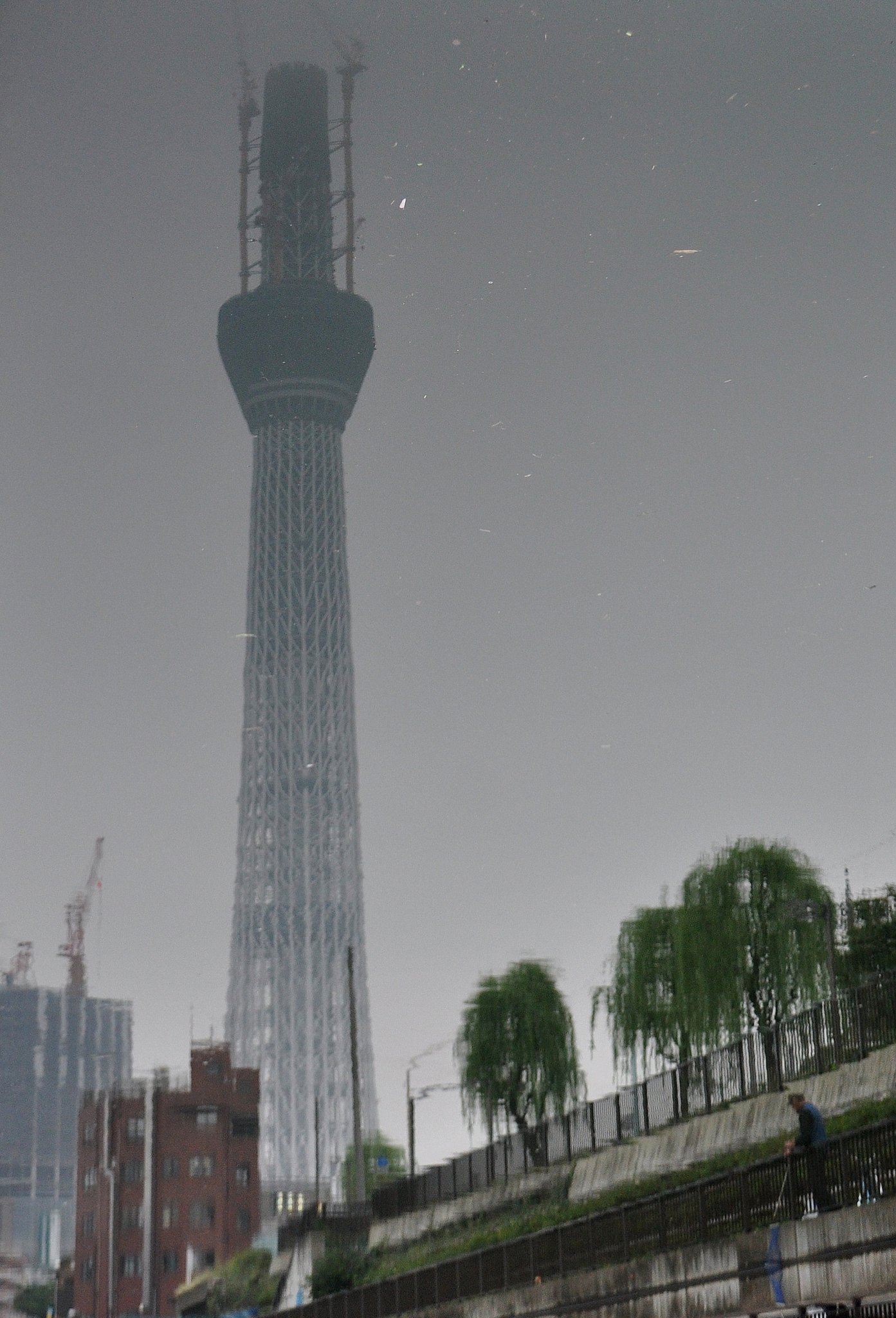 川に映るの東京スカイツリー