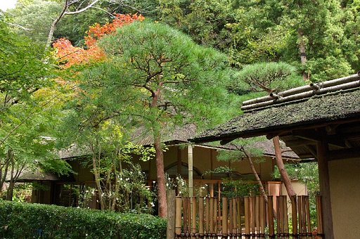 もうすぐ紅葉の季節