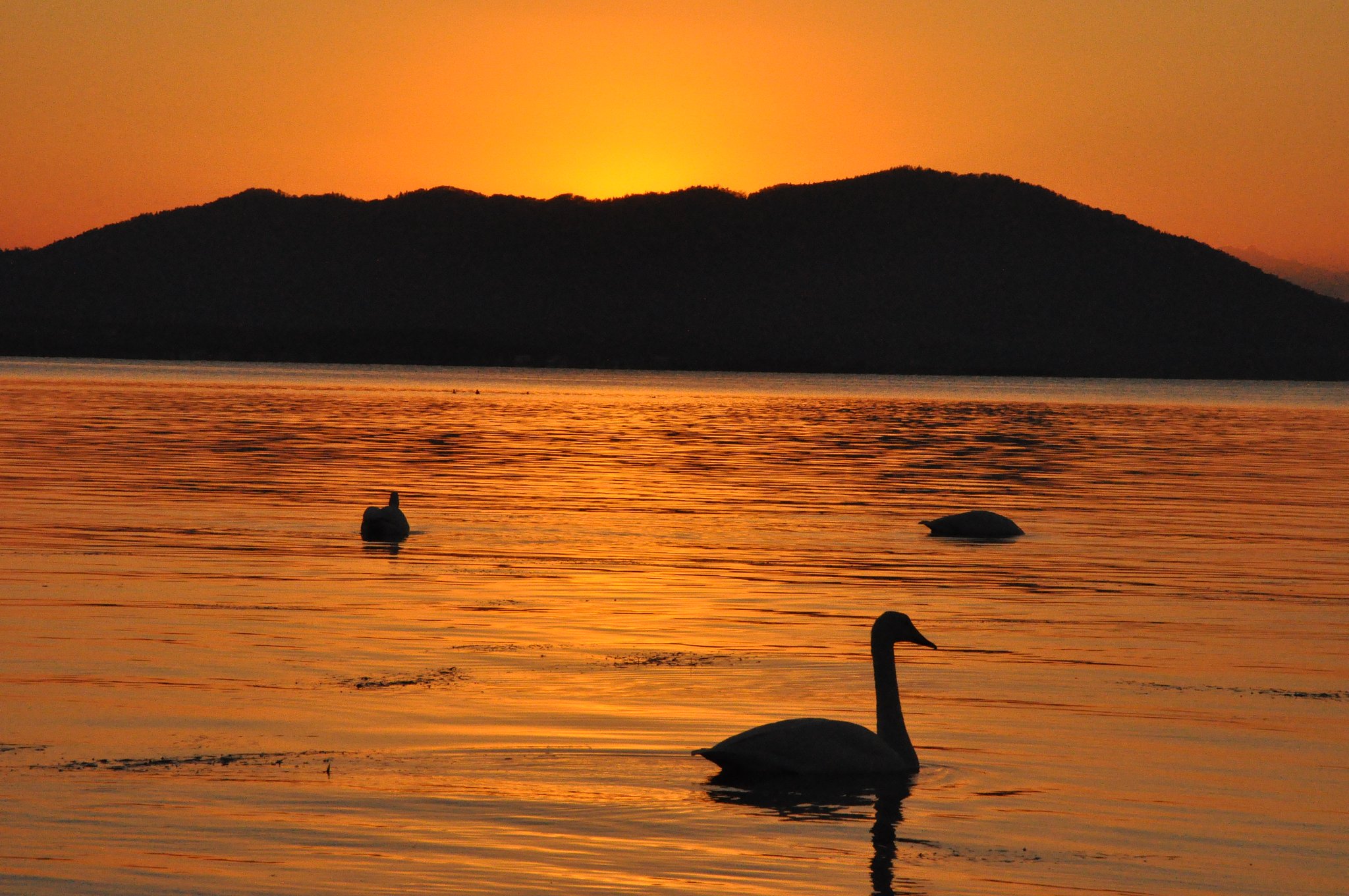 琥珀色の夕日