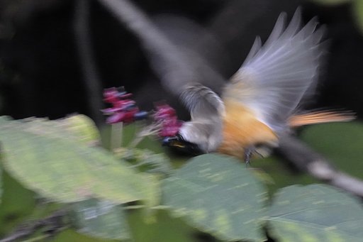 嘴と実