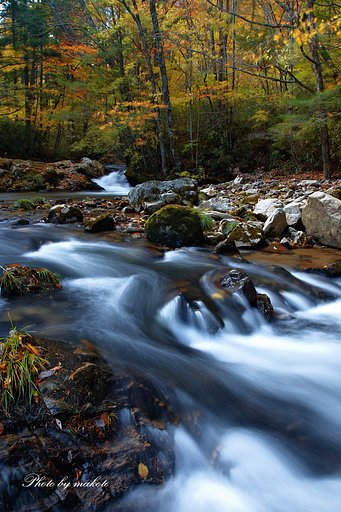 秋の晴天に恵まれ