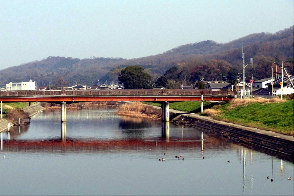 冬到来