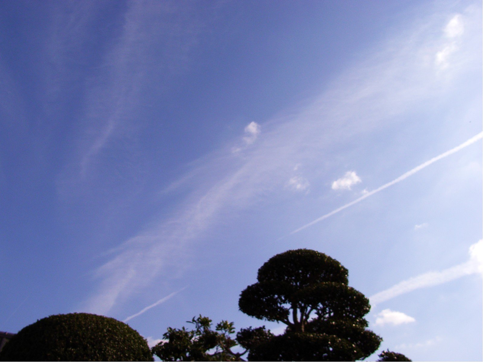 青空に