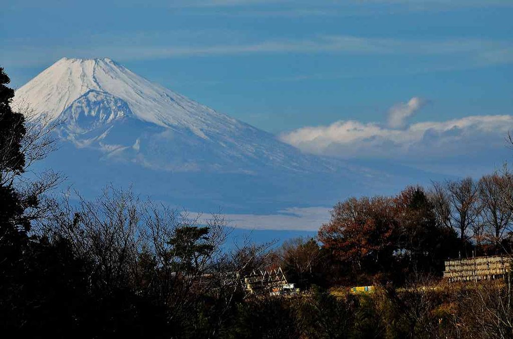 沢庵大根干し　富士山