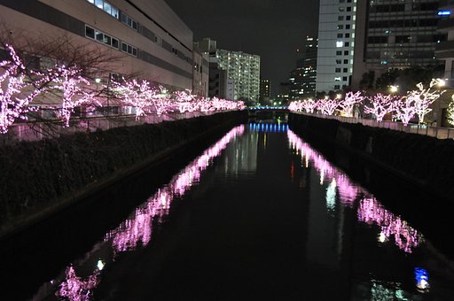 【X】桜並木を思わせるイルミネーション