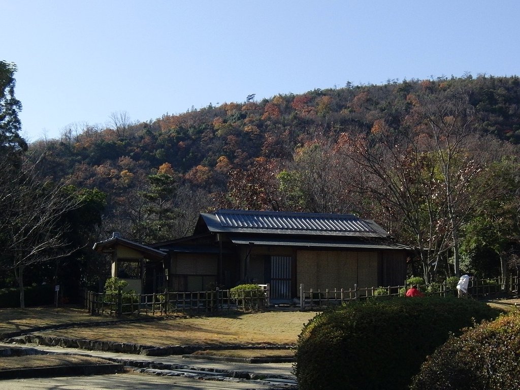 冬来れば