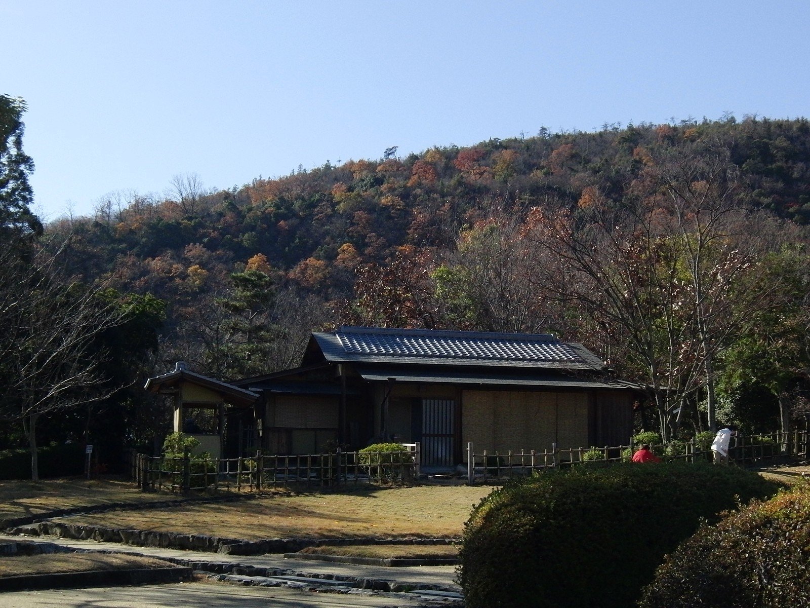 冬来れば