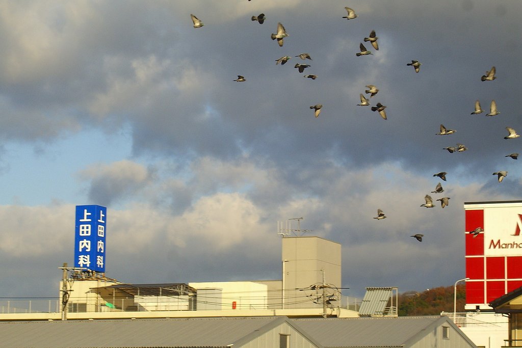 天気晴朗なれど