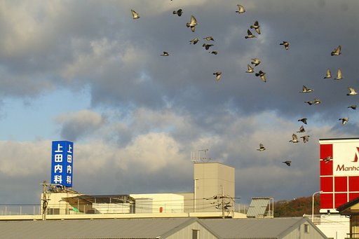 天気晴朗なれど