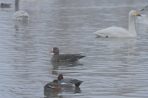 悪天が続きます。