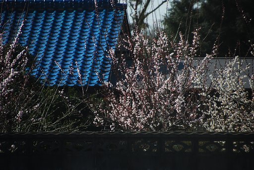 梅屋敷