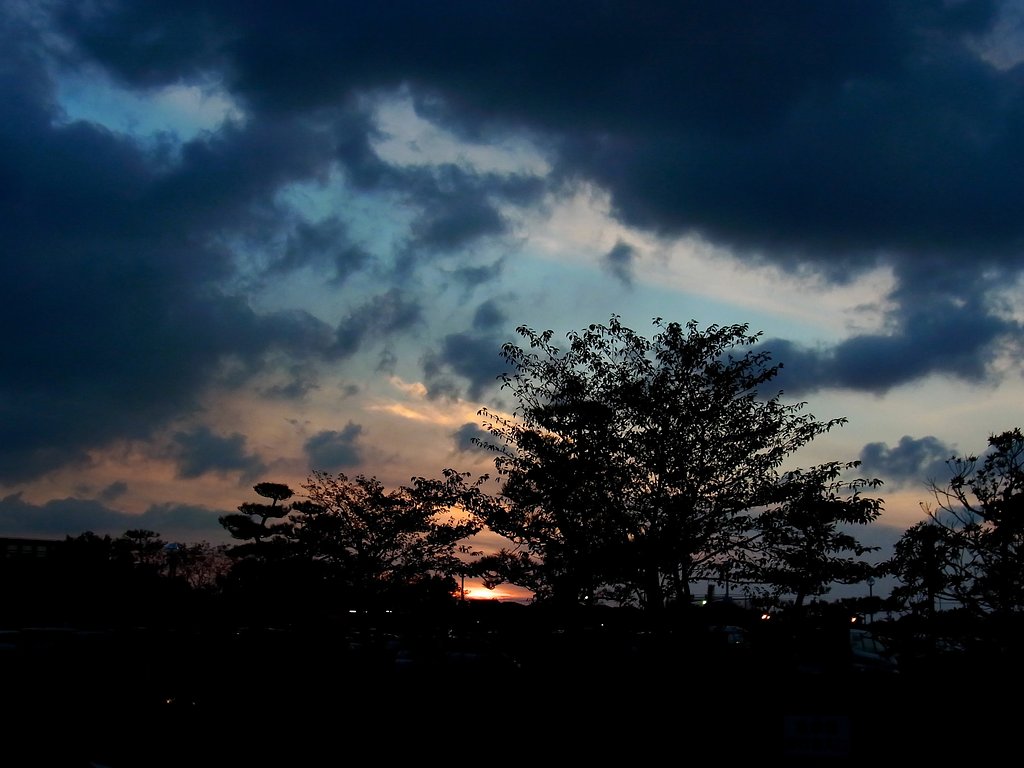 今日の夕景