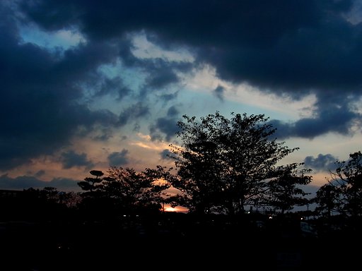 今日の夕景