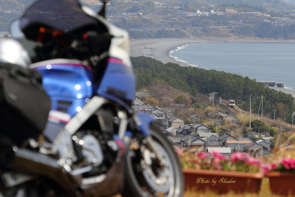 願い通じて＾＾ｖ