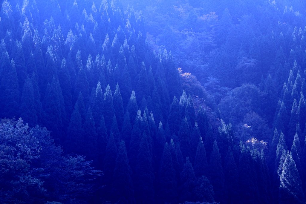 朝光に目覚める