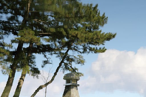水面に映えて