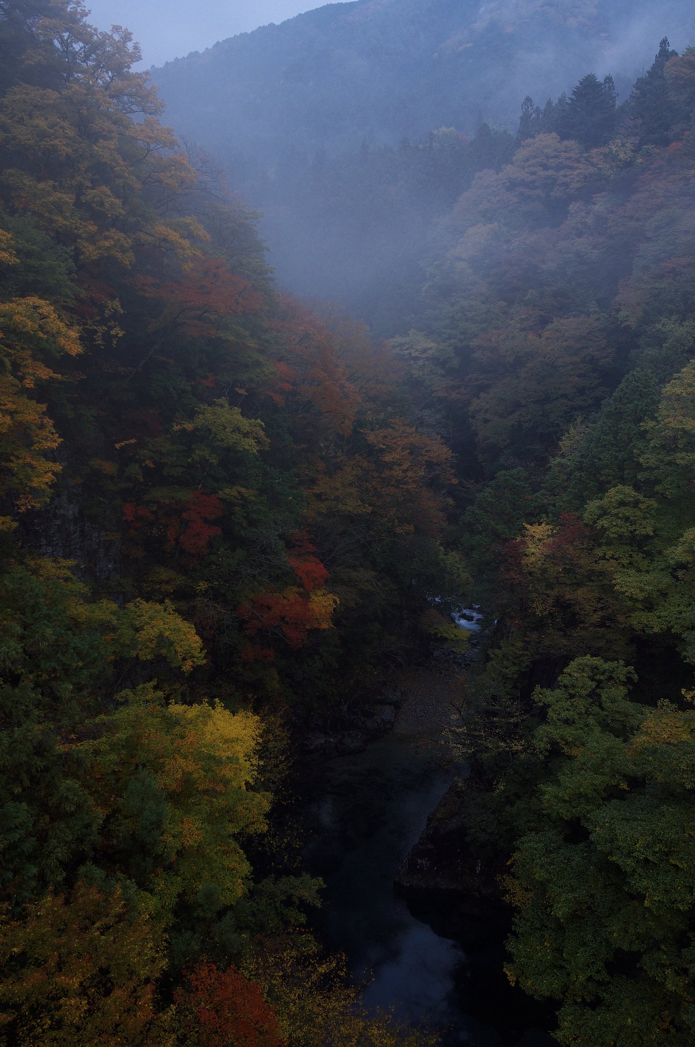 夕暮れの峡谷